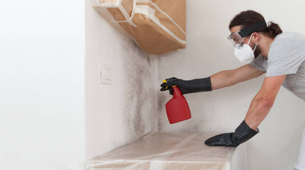 Professional Attic Mold Remediation technician working in Lyons, GA