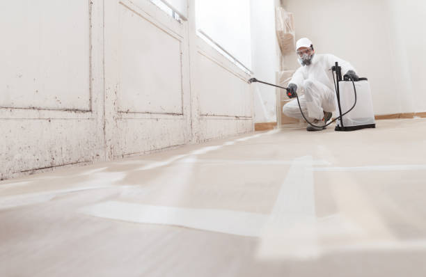 24/7 Emergency Attic Mold Remediation experts in Lyons, GA